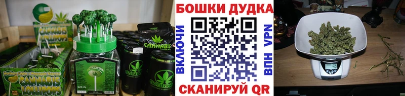 сколько стоит  Моршанск  Cannafood конопля 