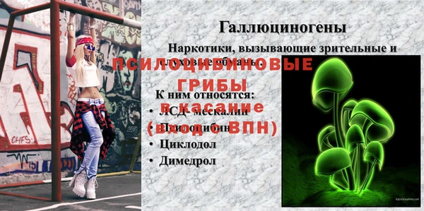 а пвп мука Баксан