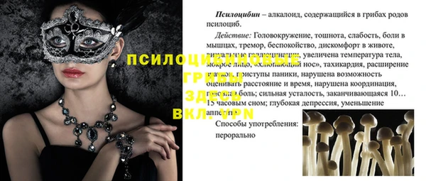 а пвп мука Баксан